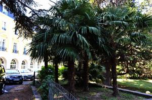 1 VERNET LES BAINS - PYRENEES ORIENTALES - HOTEL DU PORTUGAL(16)